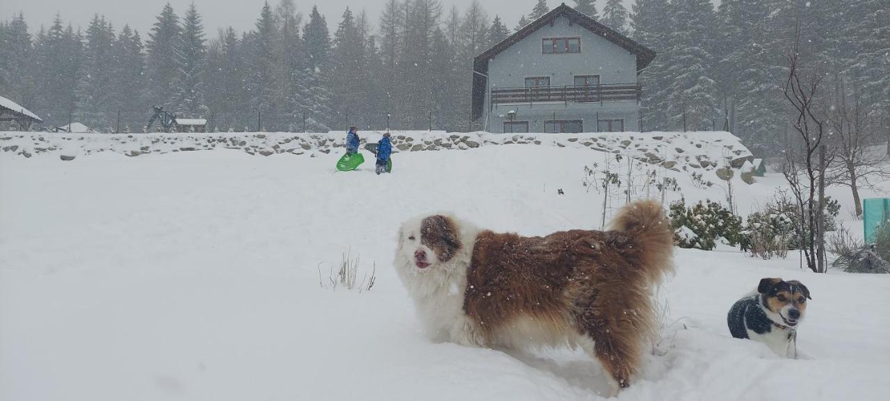 Willa Apart 19A Karpacz Bagian luar foto